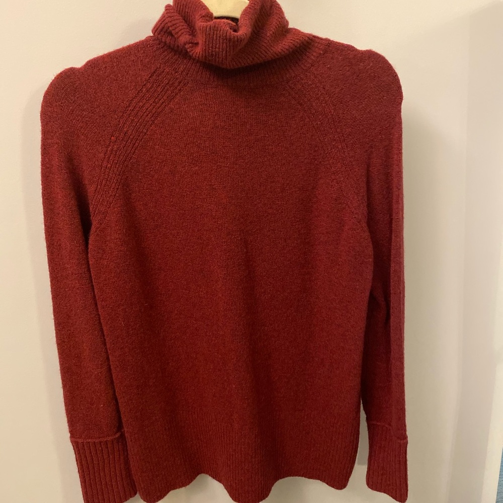 JCrew Turtle Neck Sweater in Super Soft Yarn.